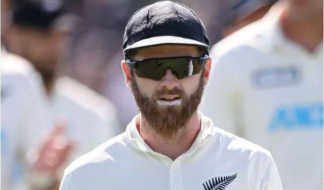 The Hundred: Kane Williamson, Shaheen Afridi the latest to opt out of the tournament
