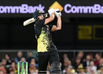 Tim David is an incredible player, selectors have got headache now' said David Warner