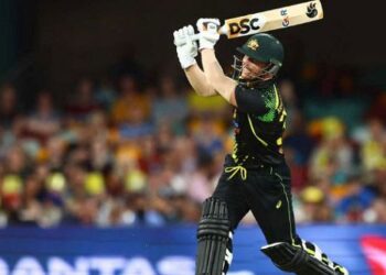 'Disappointed with this outcome' - Cricket Australia responds after David Warner withdraws leadership ban review